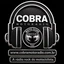 Cobra Moto Radio