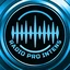 Radio Pro Intens