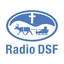 Radio DSF